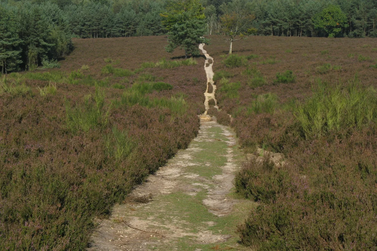 A footpath crossing a green hillside